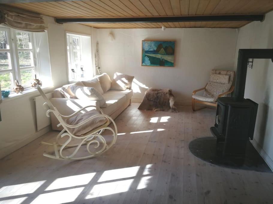 Albergue Gemuetliches Reetdachhaus Mit Kaminofen Ribe Exterior foto