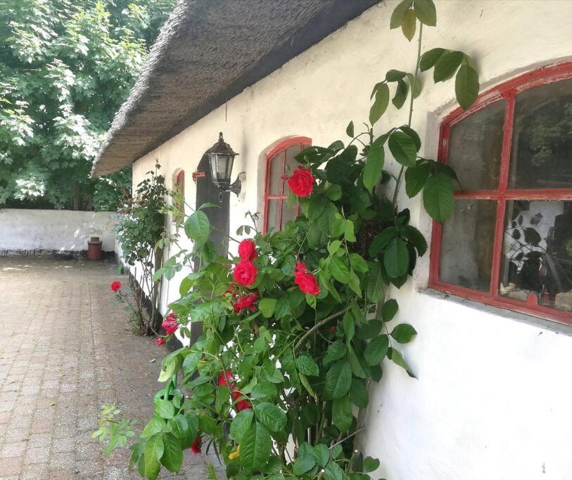 Albergue Gemuetliches Reetdachhaus Mit Kaminofen Ribe Exterior foto