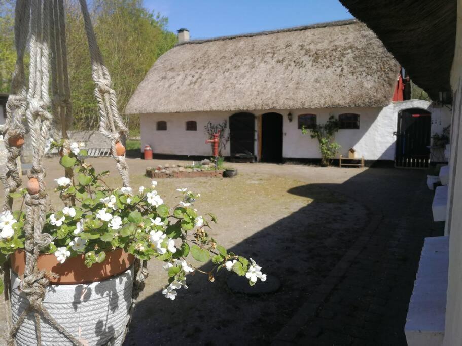 Albergue Gemuetliches Reetdachhaus Mit Kaminofen Ribe Exterior foto