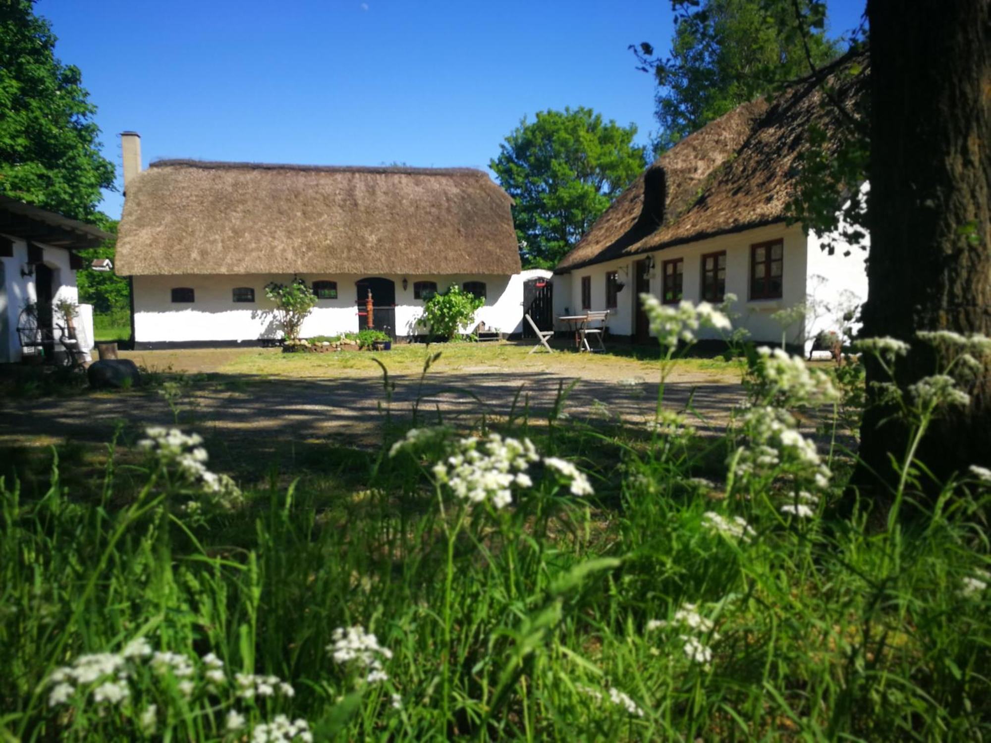 Albergue Gemuetliches Reetdachhaus Mit Kaminofen Ribe Exterior foto